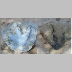 100_1012 (2009-28-07)m.jpg